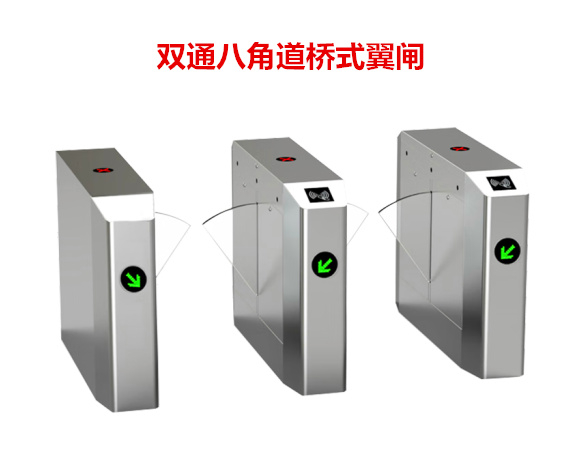 双通八角道桥式翼闸